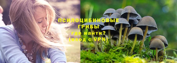 гашиш Бородино